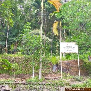 Sebuah lokasi sebidang tanah yang berada dibawah konsesi PT Bukit Asam Pertambangan Ombilin yang dipasangi papan tanda milik. Foto : Iyos