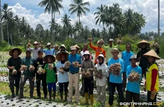 Wawako Elzadaswarma panen bawang bersama Kelompok Tani Serasih di Kelurahan Koto Panjang Payobasung, Kamis Pagi (3/4/2025)