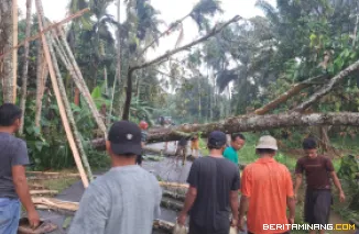 Kerusakan akibat angin puting beliung yang melanda wilayah Kabupaten Deli Serdang, Sumatera Utara, Jumat (30/5/2025). Foto: BPBD Kab. Deli Serdang