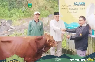 Kepala Dinas Sosial PPKBPPPA selaku koordinator lapangan ketika serakhan sapi kurban dari Komunitas Indojalito Peduli di Musala Nurul Yaqin RT 17, Kelurahan Pasar Usang. Sapi seberat 80 kg itu, disembelih panitia, Sabtu (7/6/2025). Foto: Kominfo Padang Pa
