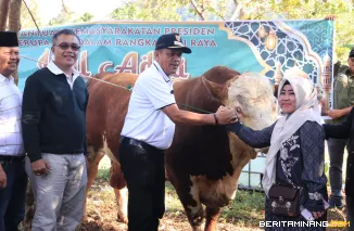 Penyerahan Bantuan Kemasyarakatan Presiden RI Berupa Sapi oleh Wakil Wali Kota Payakumbuh kepada masyarakat Kelurahan Balai Panjang, Kecamatan Payakumbuh Selatan,  Sabtu (7/6/2025)