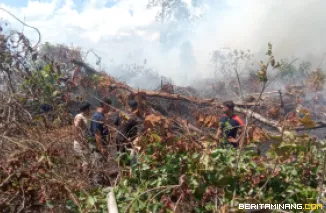 Tim gabungan berusaha melakukan pemadaman kebakaran hutan dan lahan (karhutla) di Desa Pulo Sarok, Kecamatan Singkil, Kabupaten Aceh Singkil, Provinsi Aceh, pada Senin (2/6/2025). Sumber Foto : BPBD Kabupaten Aceh Singkil