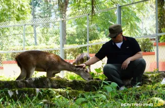 Wali Kota Padang Panjang, Hendri Arnis, saat meninjau PDIKM, Ahad (21/9/2025), mengajak masyarakat untuk datang berkunjung. Foto: Kominfo Padang Panjang