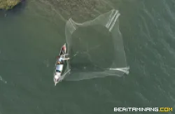 Upaya Konservasi Bilih Ikan Endemik Danau Singkarak