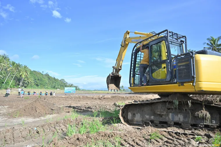 Alat berat perbaiki sawah terdampak bencana.