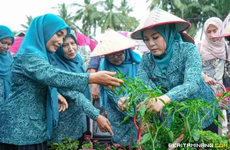 TP PKK Sumbar Lakukan Penilaian Lapangan Lomba Dasawisma Berprestasi di Pasbar