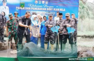 Wali Kota Padang Panjang Hendri Arnis mengikuti panen raya ikan nila bersama Komando Daerah (Kodaeral) II Padang di Desa Kampung Kandang, Kecamatan Pariaman Timur, Kamis (23/4/2026). Foto: Kominfo Padang Panjang