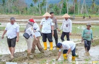 Gubernur Mahyeldi di di Korong Tanah Taban, Nagari Pasie Laweh Lubuk Alung, Kecamatan Lubuk Alung, Kabupaten Padang Pariaman, Rabu (13/5/2026). Foto: Adpim Sumbar