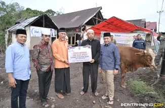 Mau Tahu Berapa Qurban yang Ditebar Pemprov Sumbar Tahun Ini? Ini Jumlahnya