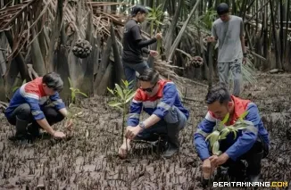 Program Hutan Petrofin untuk Net Zero Emission melalui penanaman 100 pohon mangrove di Kabupaten Kubu Raya, Kalimantan Barat. Foto: Ist.