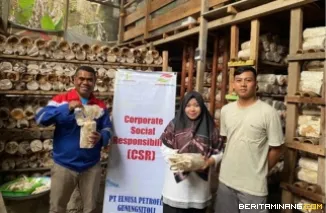 Program Tangki (Teman Akselerasi Naik Kelas UMKM Petrofin) melalui kegiatan Pembinaan Jamur Tiram di Gunung Sitoli, yang menjadi satu di antara rangkaian kepedulian Elnusa Petrofin terhadap masyarakat.Foto:Ist.