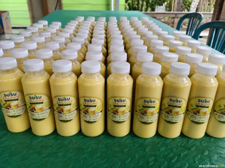 Gambar 1. Susu jagung hasil produksi peserta pelatihan di Nagari Sikabu telah dikemas dan diberi label sebagai produk berbasis potensi lokal.