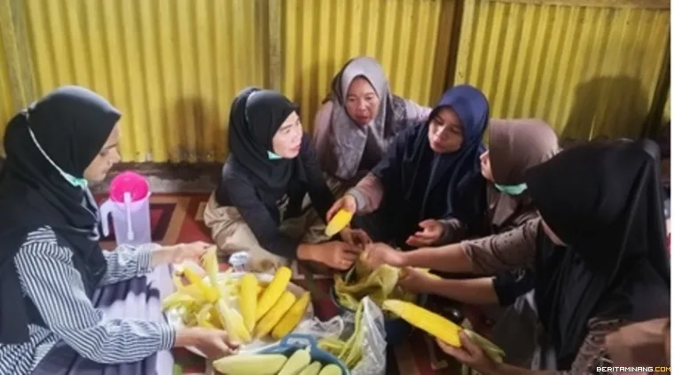Gambar 2. Peserta menyiapkan jagung sebagai bahan baku pembuatan susu jagung di Nagari Sikabu.