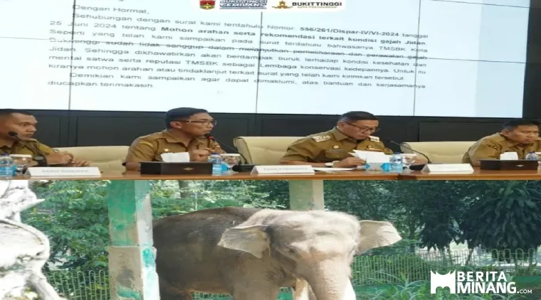 Wako Ramlan Nurmatias memberikan keterangan Pers tentang polemik Gajah Zidan yang di rantai di TMSBK Bukittinggi, Di Aula Balaikota, Senin, (14/09)