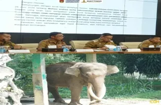 Wako Ramlan Nurmatias memberikan keterangan Pers tentang polemik Gajah Zidan yang di rantai di TMSBK Bukittinggi, Di Aula Balaikota, Senin, (14/09)