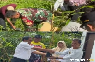 Untuk pengaman bibir Ngarai dari ancaman lonsor dan meningkatan kawasan hijau, Pemko Bukittinggi bagikan dan tanam bibit bambu kuning di Kelurahan Bukit Cangan Kayu Ramang,Kamis, (28/08)