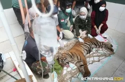 Kawasan Kandi Rehabilitasi Hijau PT. Bukit Asam Untuk Lingkungan