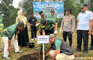 Suasana penanaman serentak 11.050 batang bibit produktif di 11 wilayah kerja Kesatuan Pengelolaan Hutan (KPH) di Sumatera Barat, Rabu (14/10). Foto:KKI Warsi