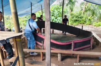 Polsek Kinali Tertibkan Lokasi yang Diduga Jadi Gelanggang Judi Sabung Ayam